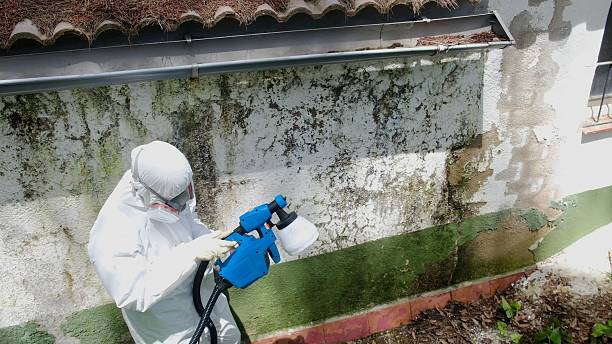 Trusted Bathroom Mold Removal service in Madison, FL - Cheap Mold Removal